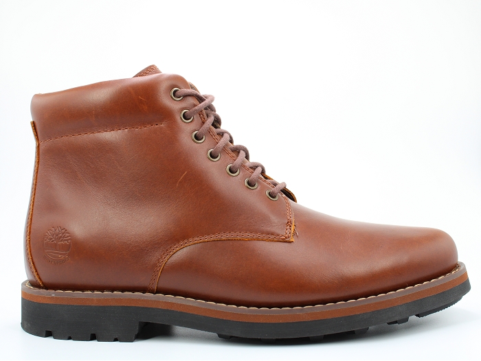 Timberland botte et bottine alden wp side zip boot marron